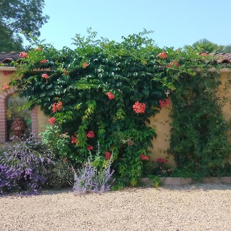 Albi A Proximite, Maison D'Hotes Les Oliviers Rosieres  المظهر الخارجي الصورة